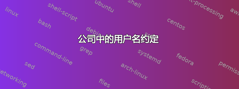 公司中的用户名约定