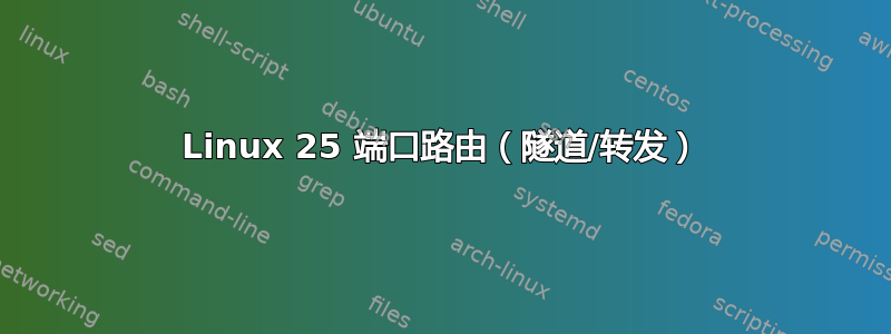 Linux 25 端口路由（隧道/转发）