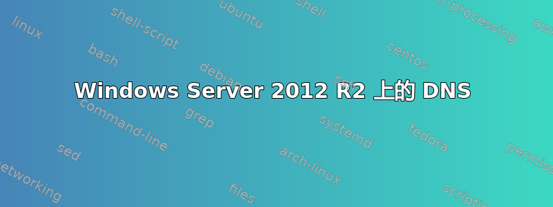 Windows Server 2012 R2 上的 DNS