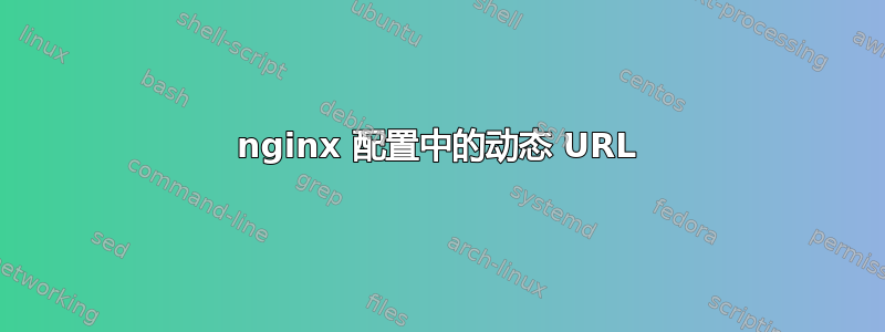 nginx 配置中的动态 URL