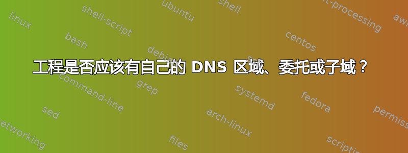 工程是否应该有自己的 DNS 区域、委托或子域？