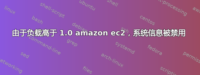 由于负载高于 1.0 amazon ec2，系统信息被禁用