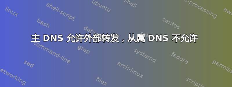 主 DNS 允许外部转发，从属 DNS 不允许