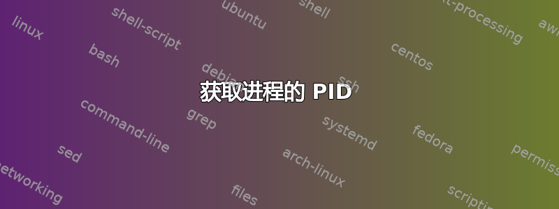 获取进程的 PID