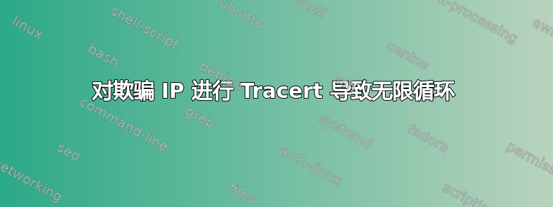 对欺骗 IP 进行 Tracert 导致无限循环