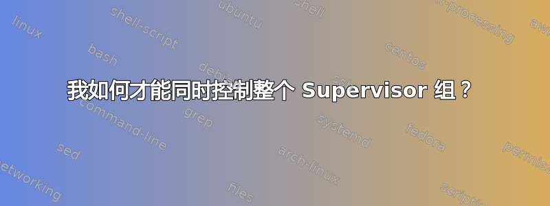 我如何才能同时控制整个 Supervisor 组？