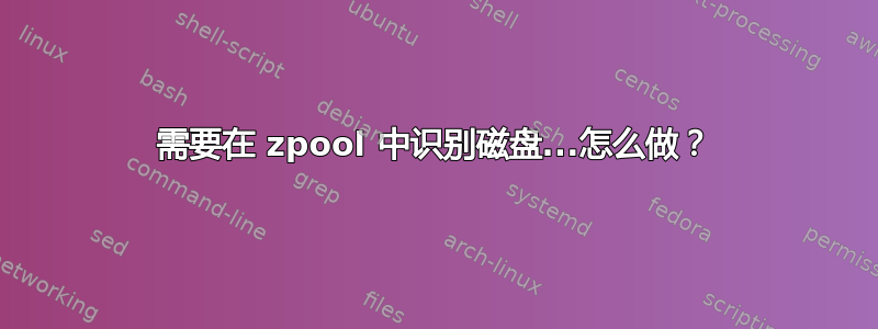 需要在 zpool 中识别磁盘...怎么做？