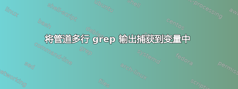 将管道多行 grep 输出捕获到变量中