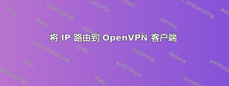 将 IP 路由到 OpenVPN 客户端