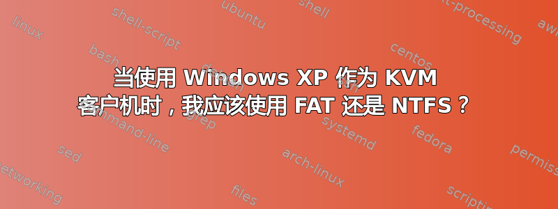 当使用 Windows XP 作为 KVM 客户机时，我应该使用 FAT 还是 NTFS？