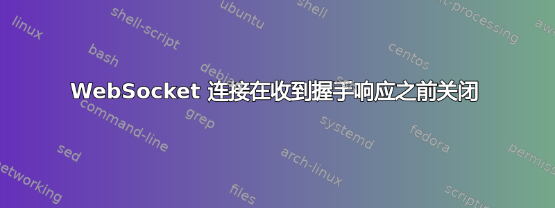 WebSocket 连接在收到握手响应之前关闭