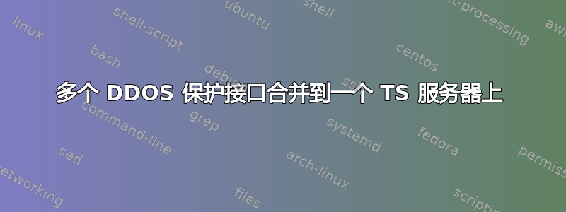 多个 DDOS 保护接口合并到一个 TS 服务器上