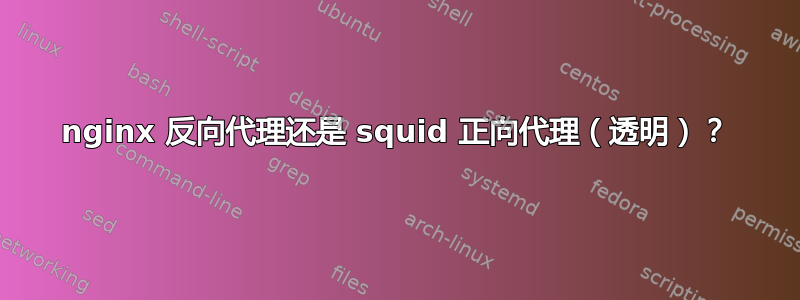 nginx 反向代理还是 squid 正向代理（透明）？