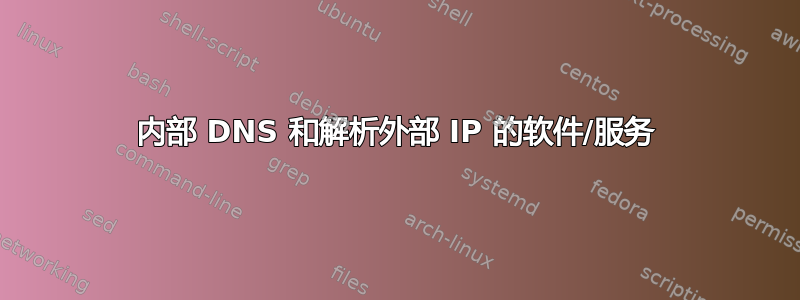 内部 DNS 和解析外部 IP 的软件/服务