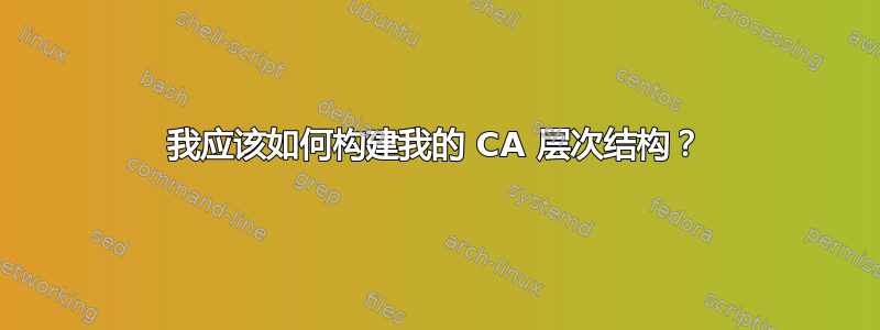 我应该如何构建我的 CA 层次结构？