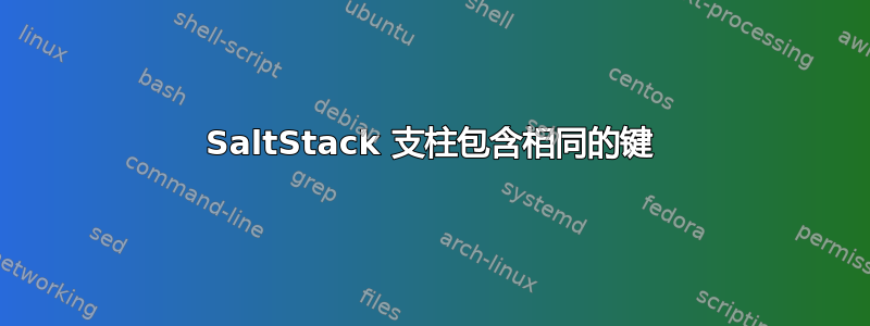 SaltStack 支柱包含相同的键