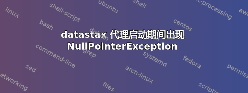 datastax 代理启动期间出现 NullPointerException