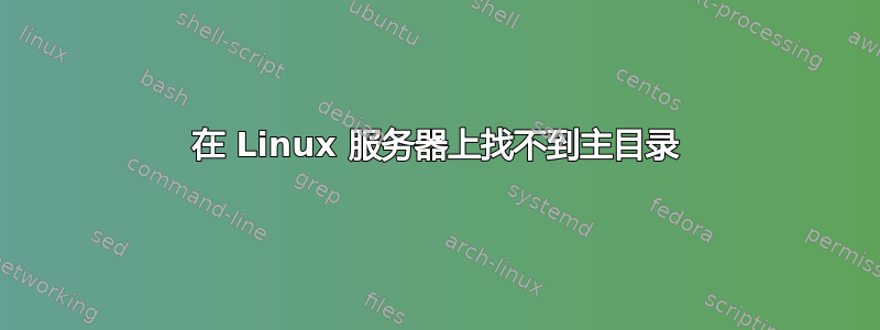 在 Linux 服务器上找不到主目录