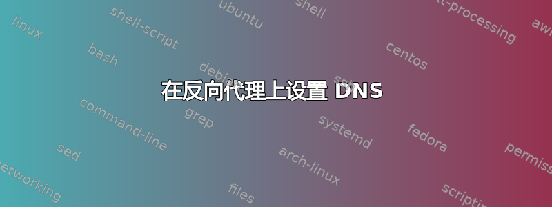 在反向代理上设置 DNS