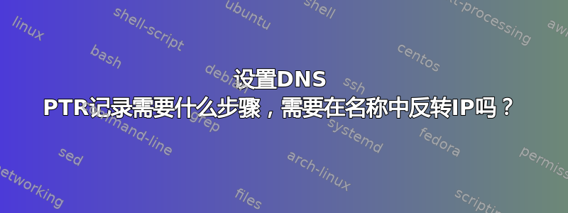 设置DNS PTR记录需要什么步骤，需要在名称中反转IP吗？