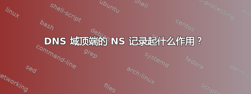 DNS 域顶端的 NS 记录起什么作用？