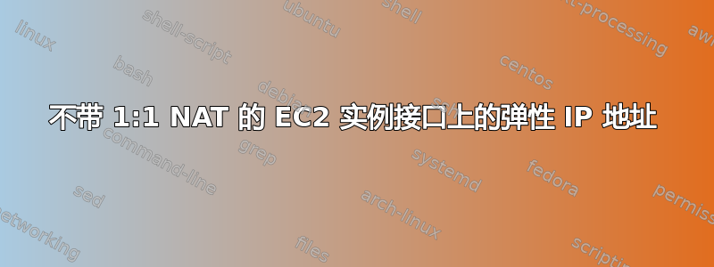 不带 1:1 NAT 的 EC2 实例接口上的弹性 IP 地址