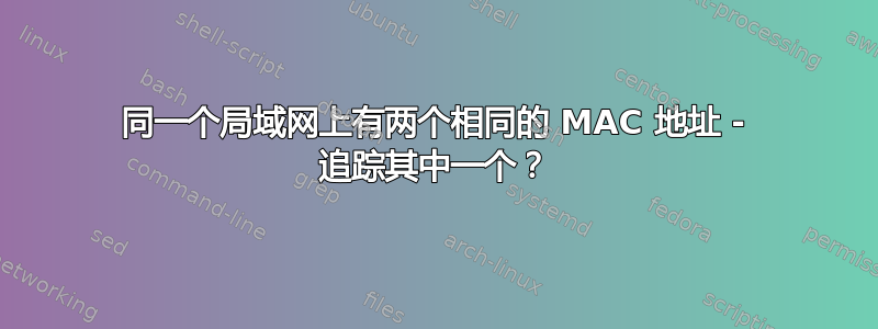 同一个局域网上有两个相同的 MAC 地址 - 追踪其中一个？