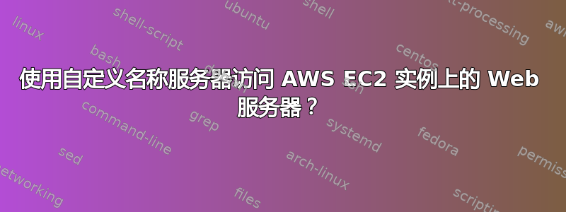 使用自定义名称服务器访问 AWS EC2 实例上的 Web 服务器？