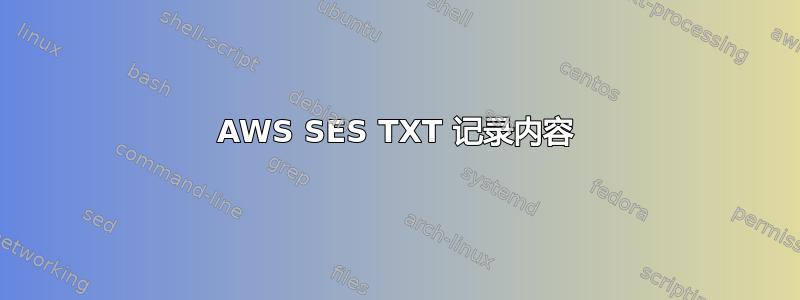 AWS SES TXT 记录内容