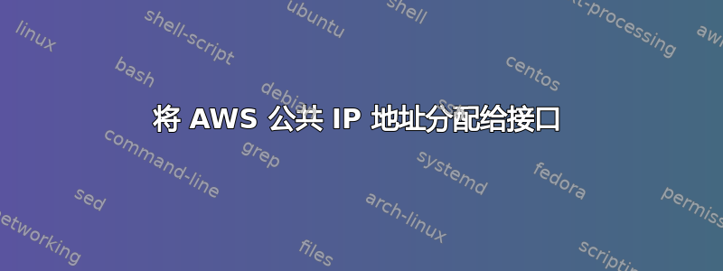 将 AWS 公共 IP 地址分配给接口