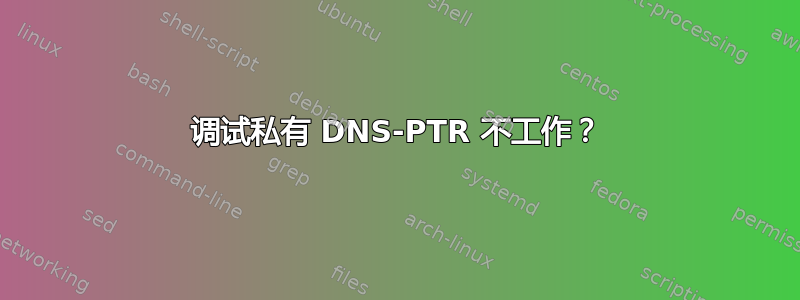 调试私有 DNS-PTR 不工作？