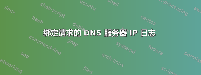 绑定请求的 DNS 服务器 IP 日志