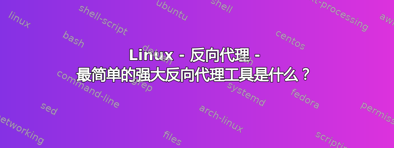 Linux - 反向代理 - 最简单的强大反向代理工具是什么？