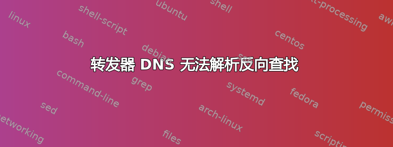 转发器 DNS 无法解析反向查找