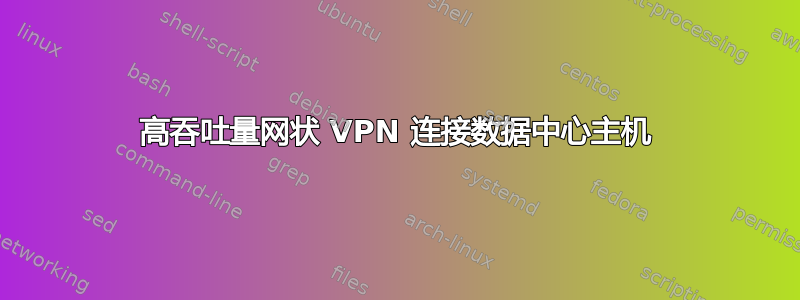 高吞吐量网状 VPN 连接数据中心主机