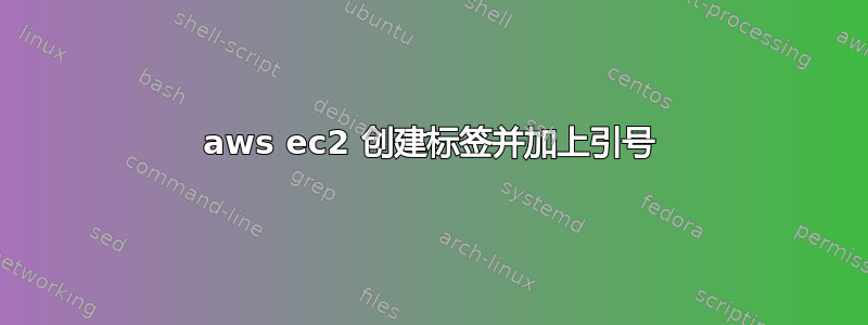 aws ec2 创建标签并加上引号