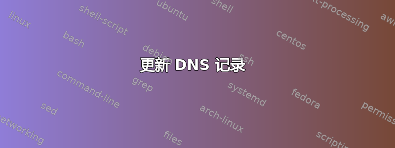 更新 DNS 记录 