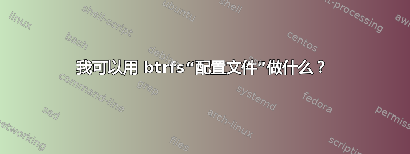 我可以用 btrfs“配置文件”做什么？