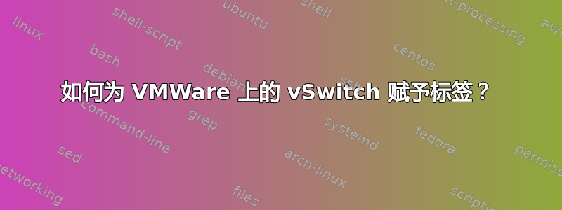 如何为 VMWare 上的 vSwitch 赋予标签？