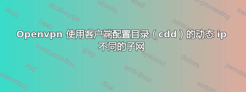 Openvpn 使用客户端配置目录（cdd）的动态 ip 不同的子网