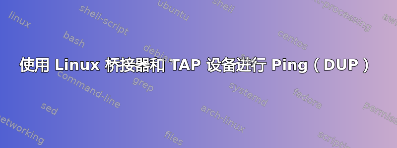 使用 Linux 桥接器和 TAP 设备进行 Ping（DUP）