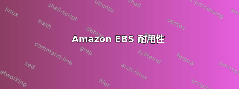 Amazon EBS 耐用性