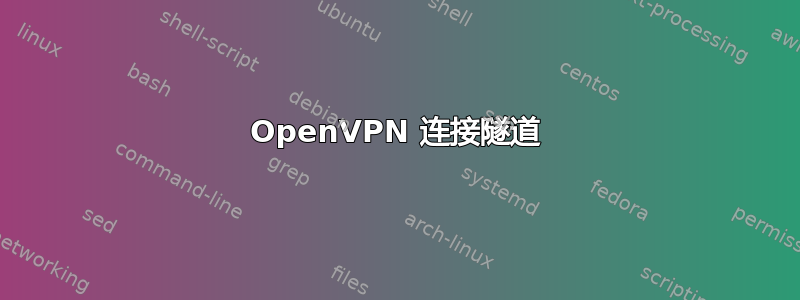 OpenVPN 连接隧道