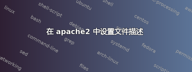 在 apache2 中设置文件描述