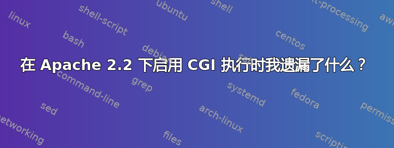 在 Apache 2.2 下启用 CGI 执行时我遗漏了什么？