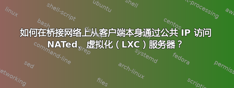 如何在桥接网络上从客户端本身通过公共 IP 访问 NATed、虚拟化（LXC）服务器？