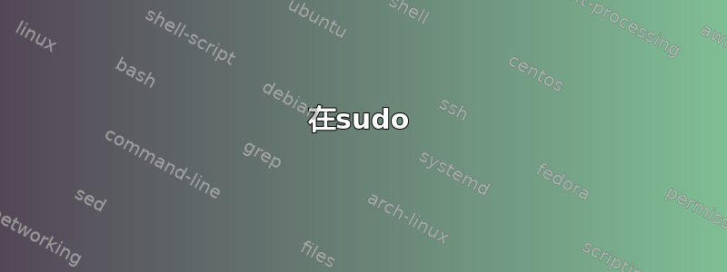 在sudo