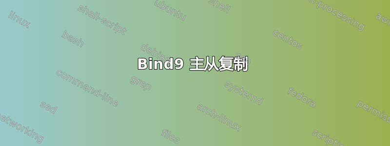 Bind9 主从复制