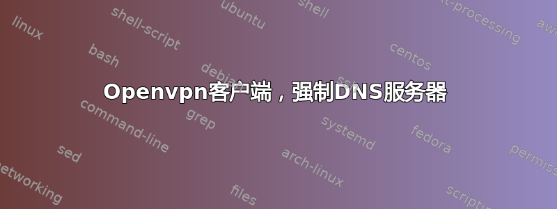 Openvpn客户端，强制DNS服务器