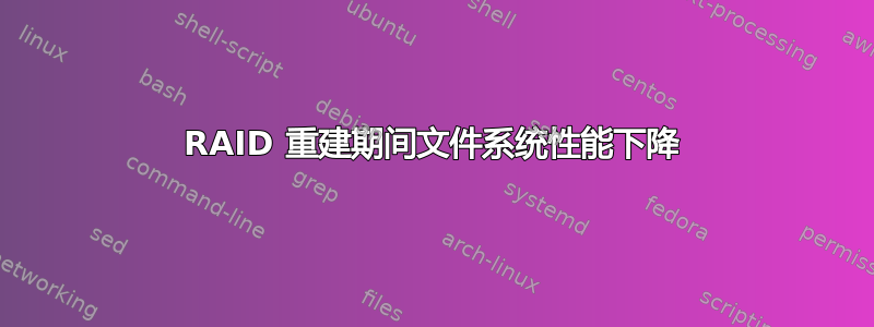 RAID 重建期间文件系统性能下降